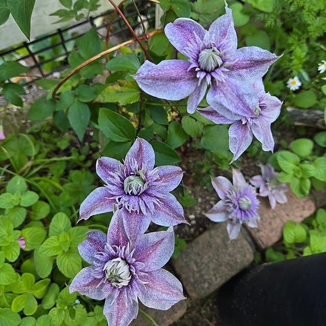 min_nimさんの実例写真
