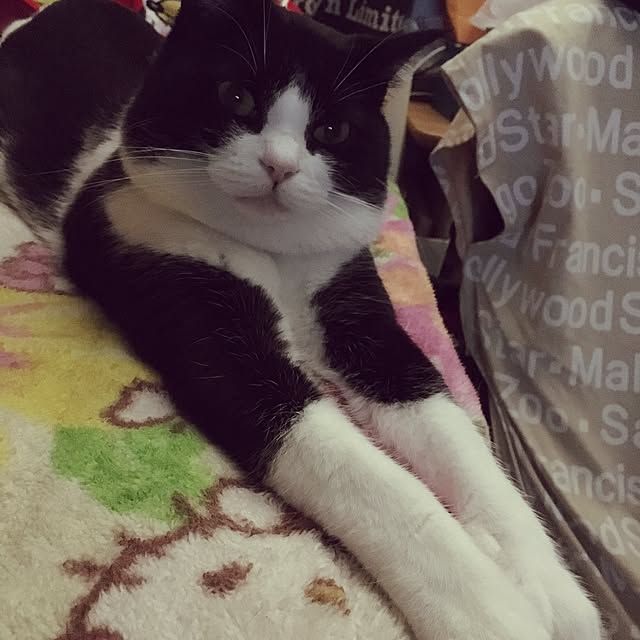 mametaroさんの実例写真