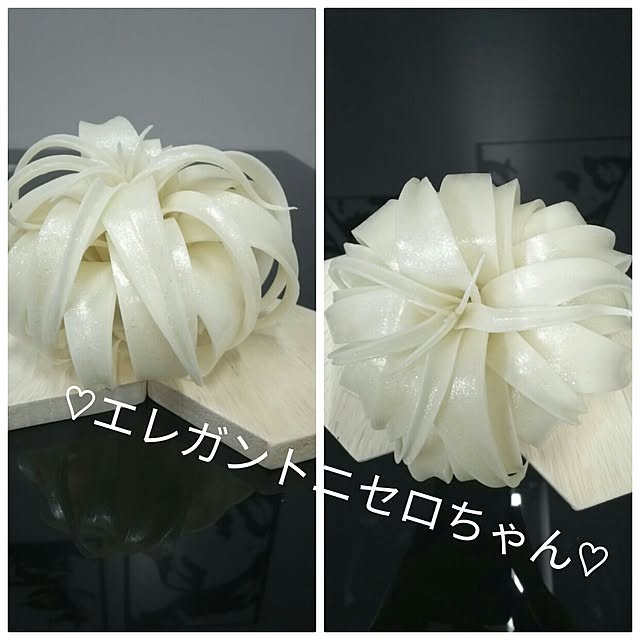 ...t_m_eee...さんの実例写真
