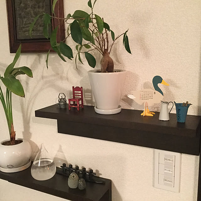 chapiさんの実例写真