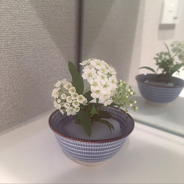 nanohanaさんの実例写真