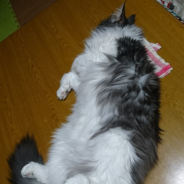 shinobuさんの実例写真