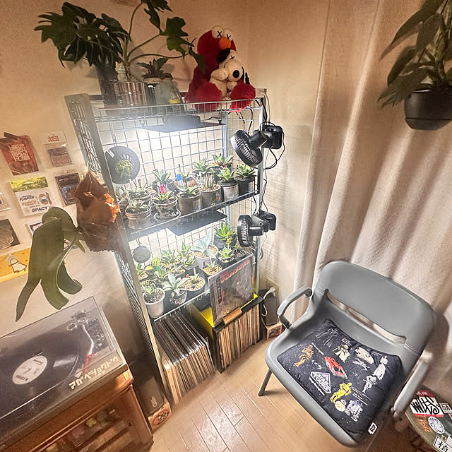 floydさんの実例写真
