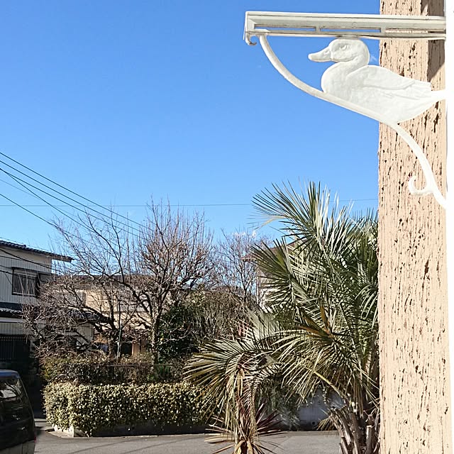 banma1223さんの実例写真