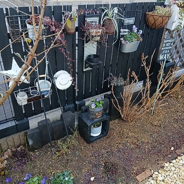 kaanaさんの実例写真