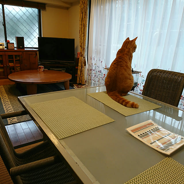 okyosan101さんの実例写真