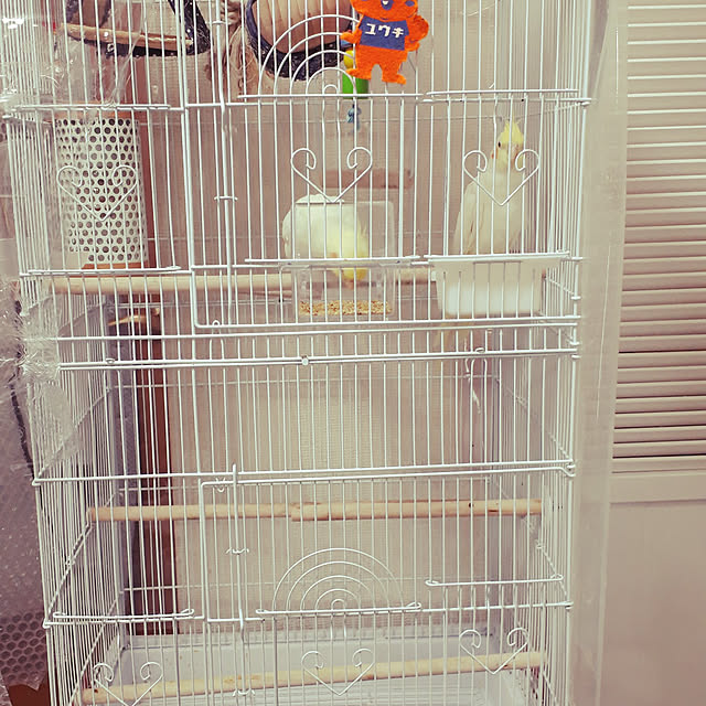 ANTENNAさんの実例写真