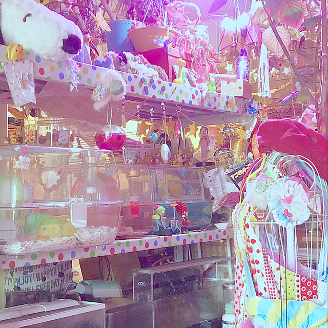 pochi3461さんの実例写真