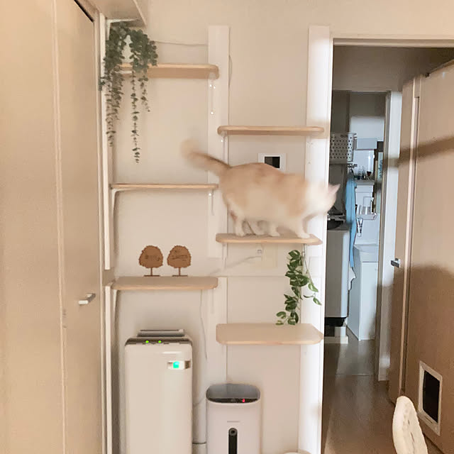 H.Tさんの部屋