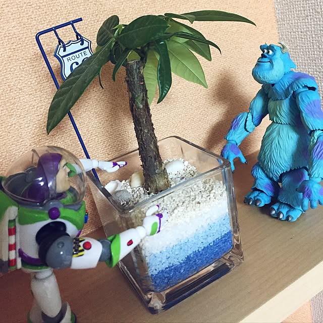 igaguriさんの実例写真