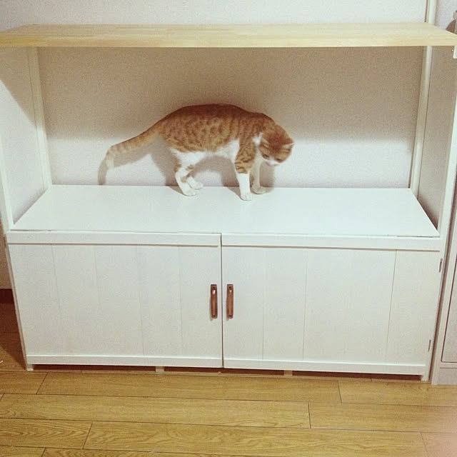 実例写真