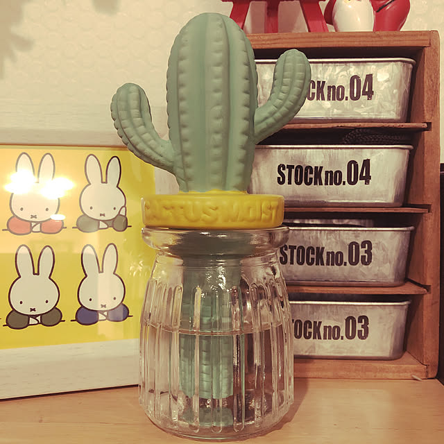 雑貨/多肉植物/リビングのインテリア実例 - 2019-12-28 02:41:38