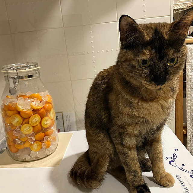 yachu.22さんの部屋