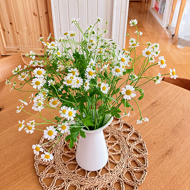 bestwishes.ryokoさんの部屋