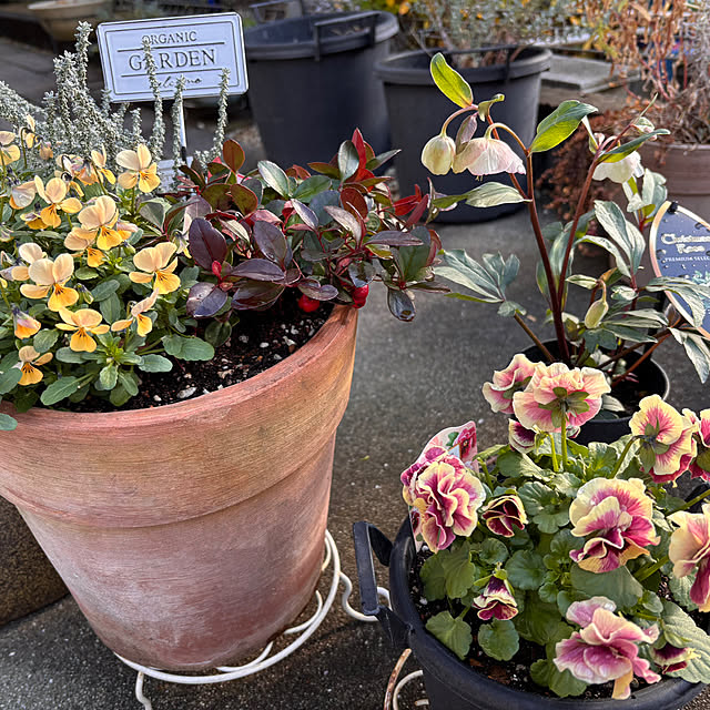 R.Y.Oさんの実例写真