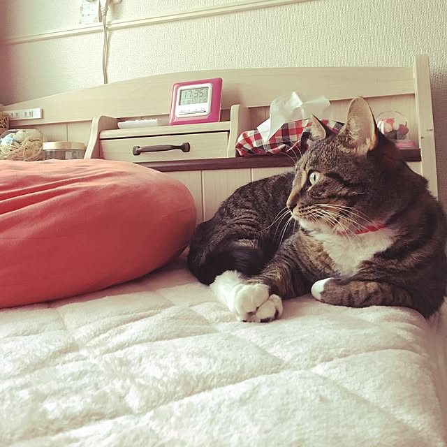 takami0501さんの実例写真