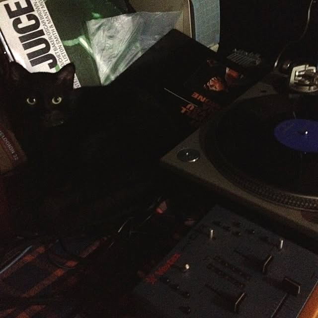 棚/猫/音楽周りのインテリア実例 - 2012-07-21 15:00:22