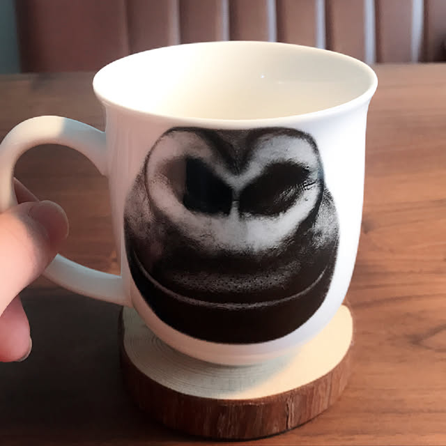 実例写真