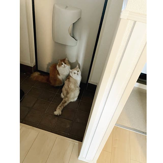 H.Tさんの実例写真