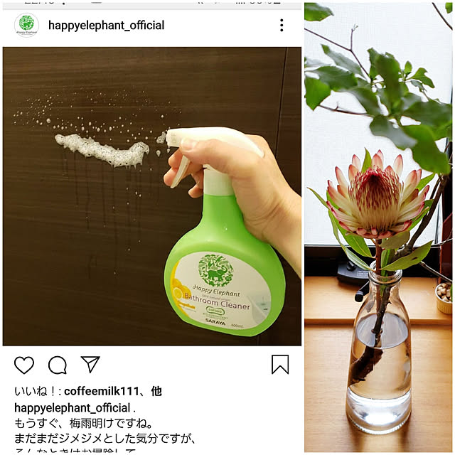sakuraさんの実例写真