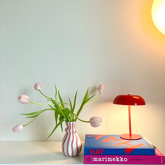 Rio333さんの実例写真