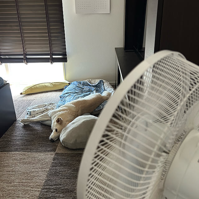 tanboさんの実例写真