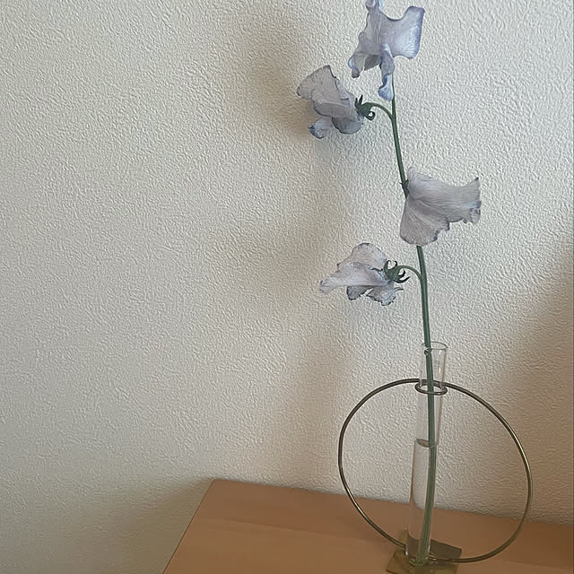 ___nmnm6さんの実例写真