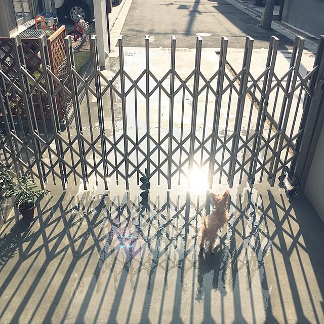 cocco0505さんの実例写真