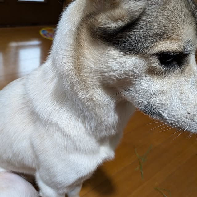 asaさんの部屋