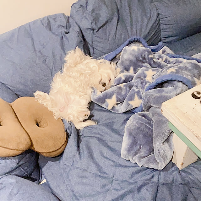 relaxsunさんの実例写真