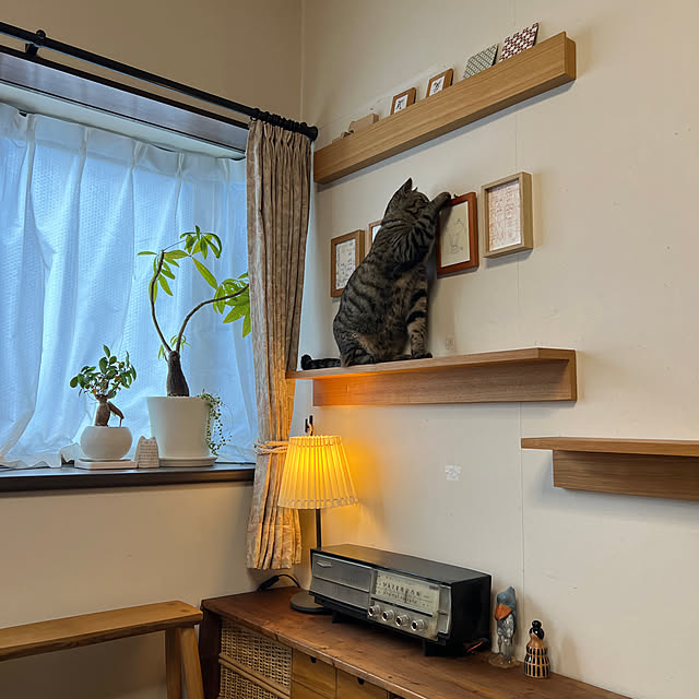 kuzumeganeさんの実例写真