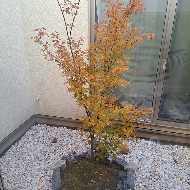 tammyさんの実例写真