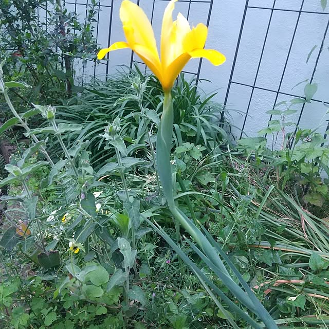 Rさんの部屋