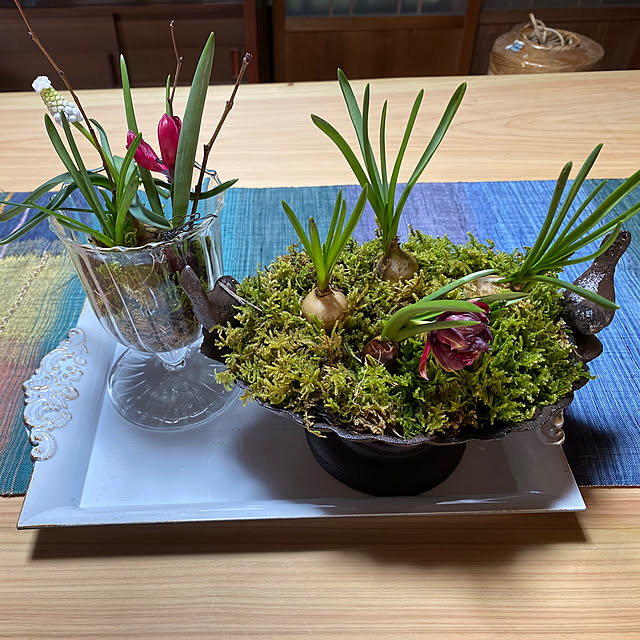 doldoraさんの実例写真