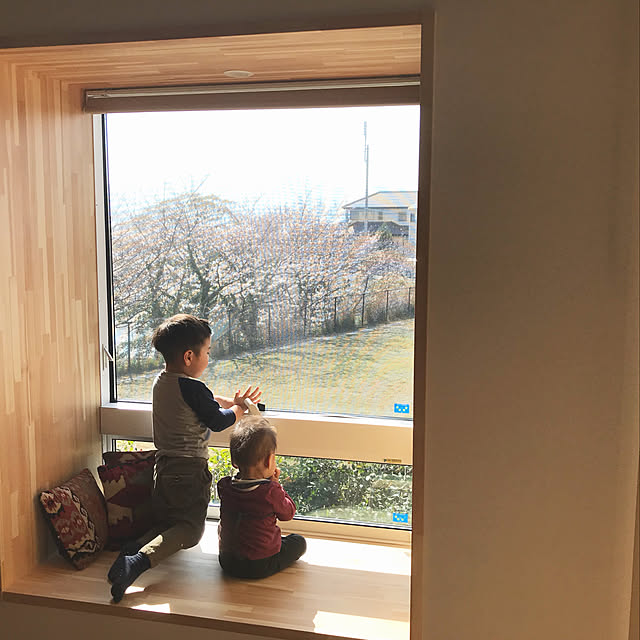no5217さんの実例写真