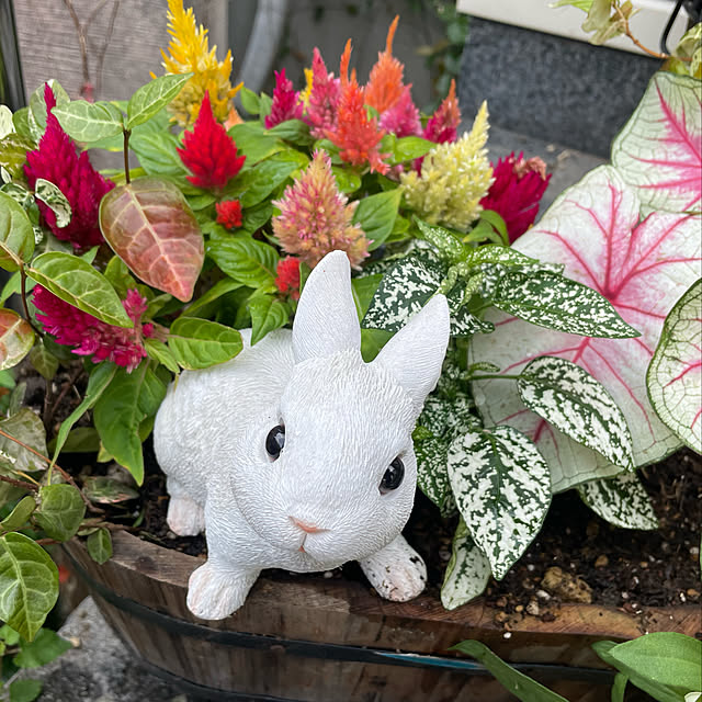 emikoさんの実例写真