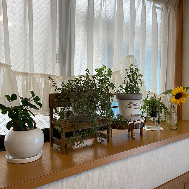 Kaorinさんの実例写真