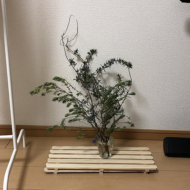 ganmodokiさんの実例写真