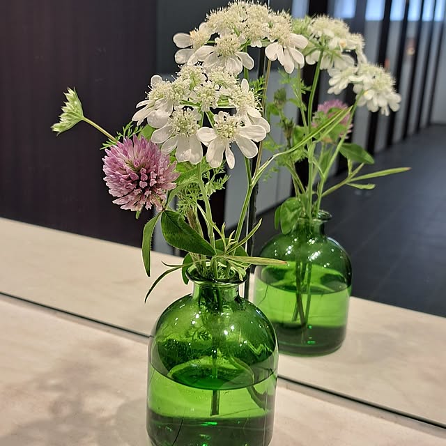 noaさんの実例写真