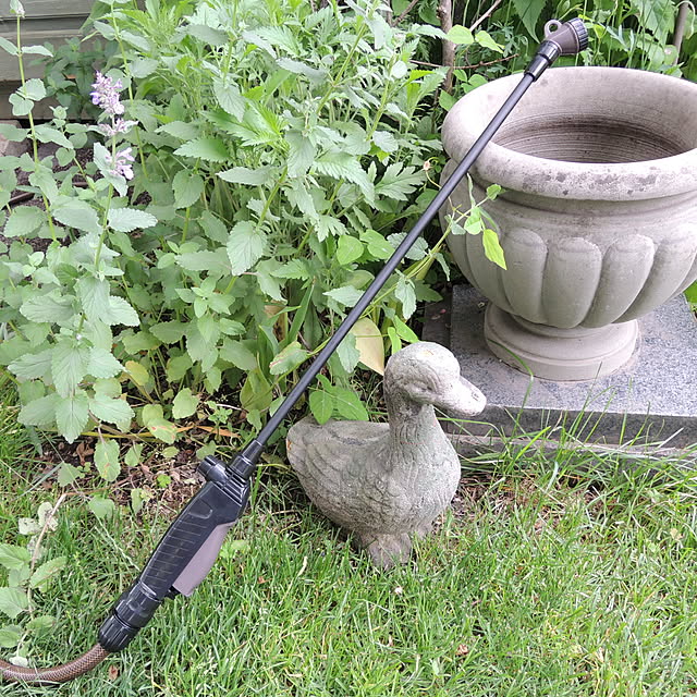 Royal_Gardeners_Clubさんの実例写真