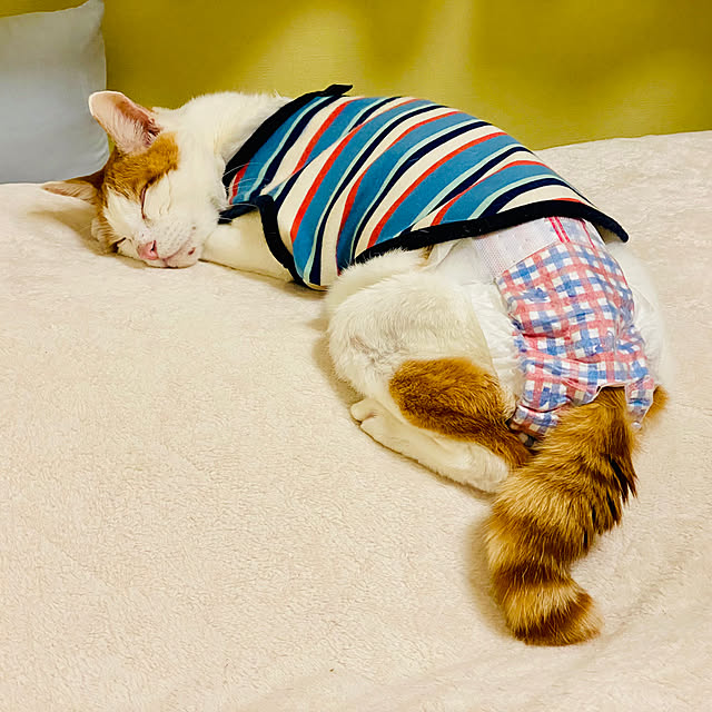 YUKAさんの部屋