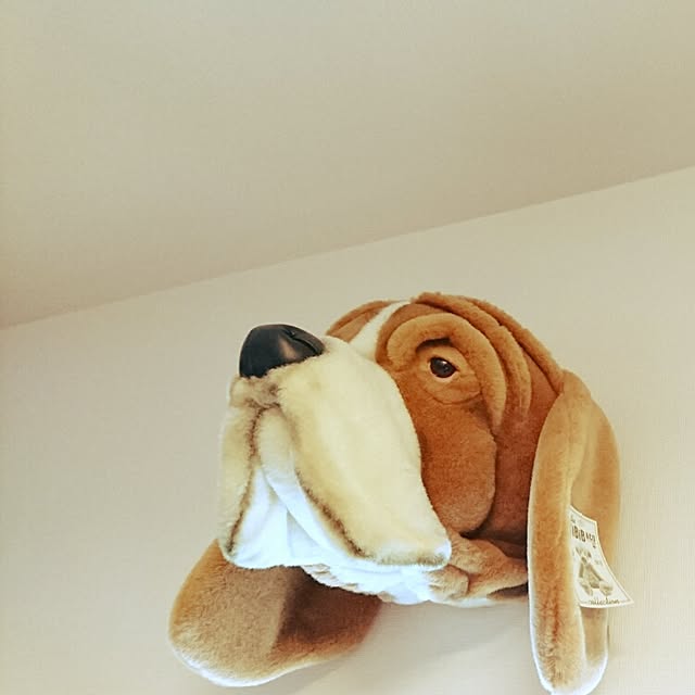 Sachiさんの実例写真