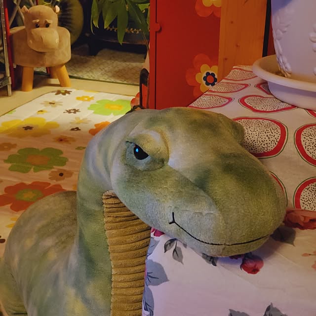 kumutanさんの部屋