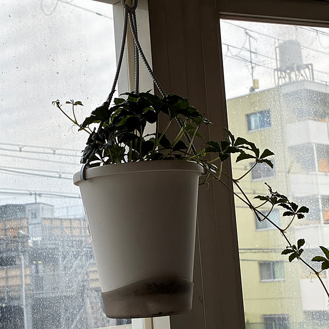 nekohagu2022さんの部屋