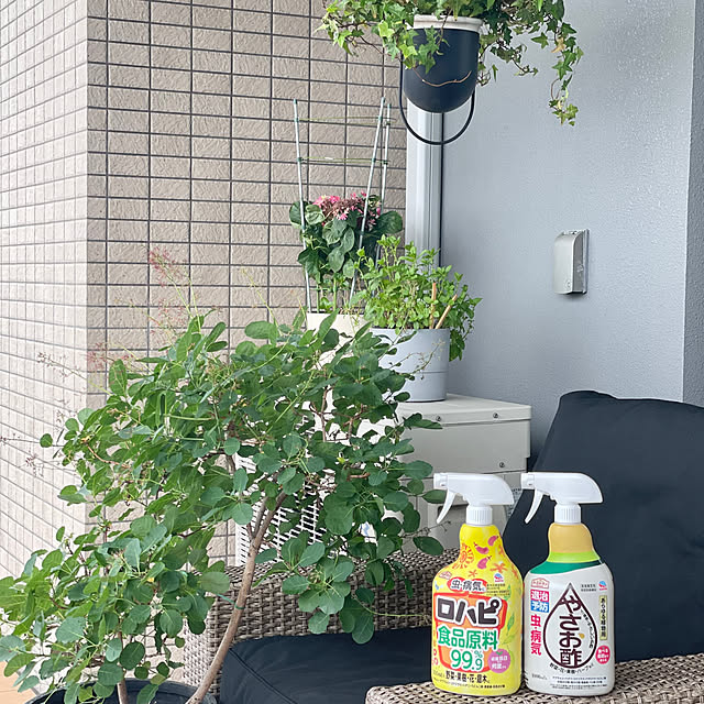 tina315mhさんの実例写真