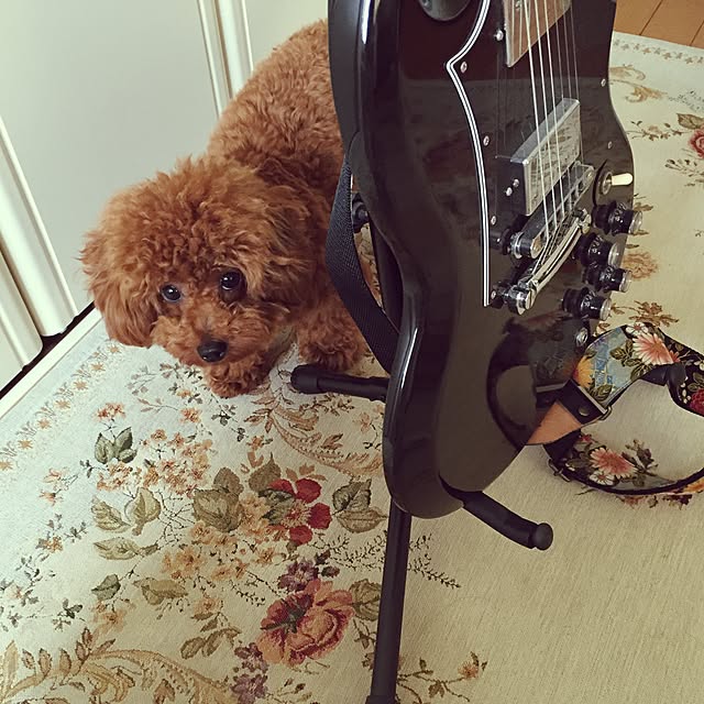 ayumoco725さんの実例写真