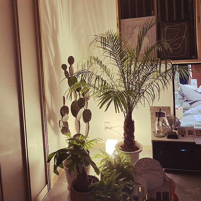 ベッド周り/観葉植物/一人暮らし/IKEA/賃貸...などのインテリア実例 - 2021-04-23 23:02:19