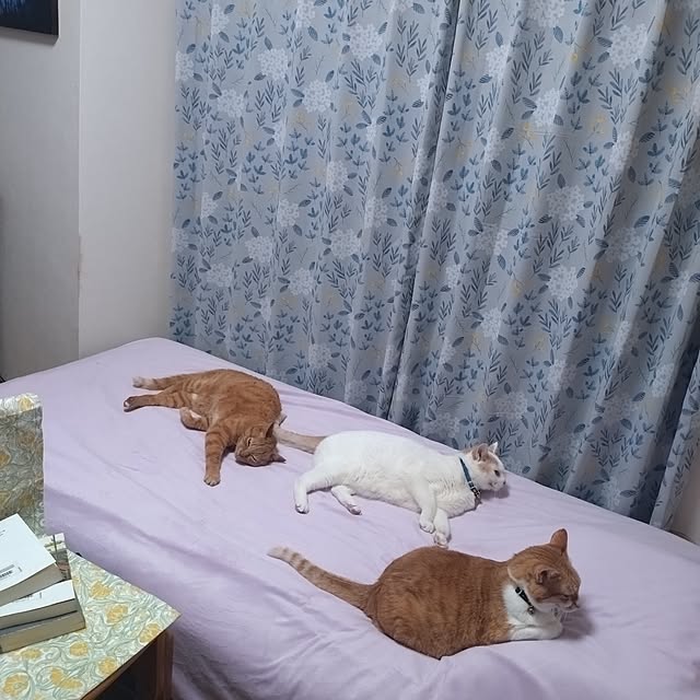 NOAHさんの部屋
