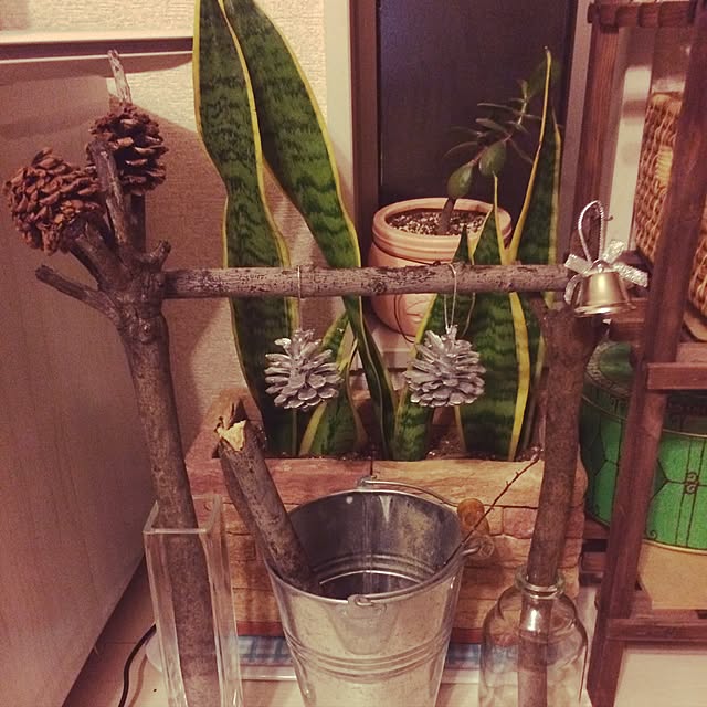 yumさんの実例写真