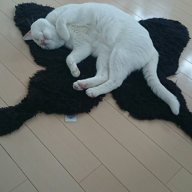 kikinanaさんの実例写真